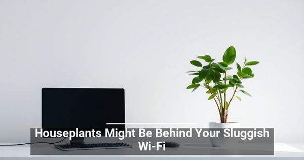 Houseplants Might Be Behind Your Sluggish Wi-Fi