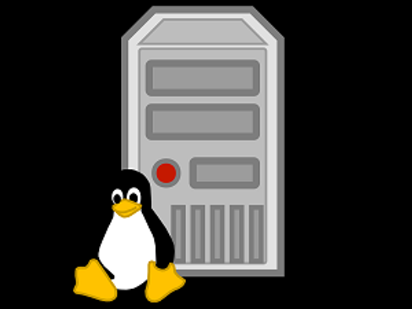 New Panchan Botnet Targets Linux Servers
